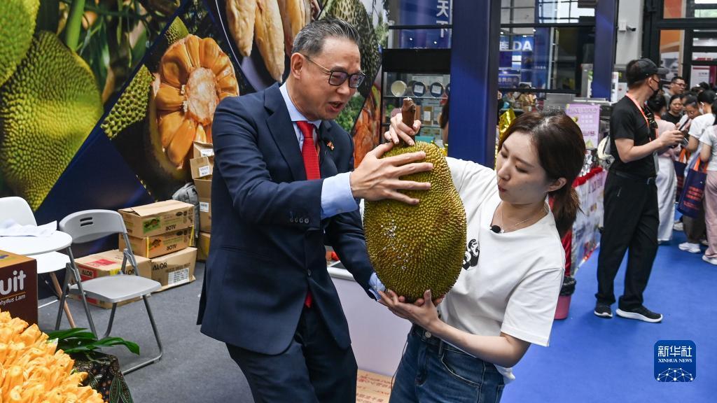 开元ky棋app下载
