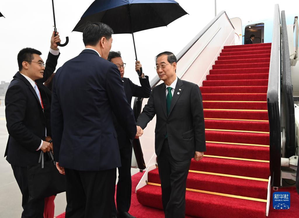 炸三张金花游戏下载不充钱